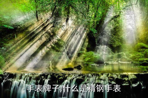 手表牌子,什么是精钢手表