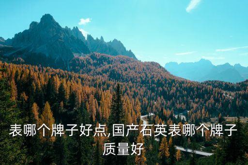 表哪个牌子好点,国产石英表哪个牌子质量好
