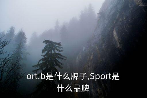 sport.b是什么牌子,Sport是什么品牌?