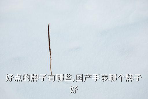 好点的牌子有哪些,国产手表哪个牌子好