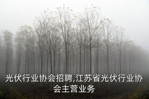光伏行业协会招聘,江苏省光伏行业协会主营业务
