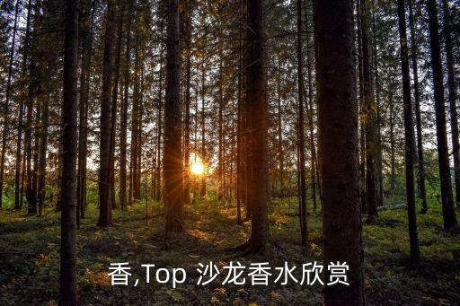 香,Top 沙龙香水欣赏