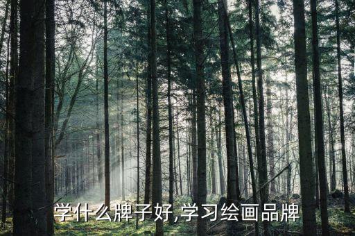 绘画学什么牌子好,学习绘画品牌