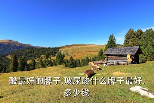 玻尿酸最好的牌子,玻尿酸什么牌子最好,多少钱?