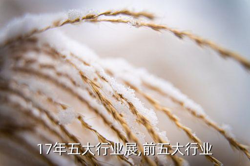 17年五大行业展,前五大行业