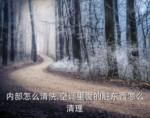 内部怎么清洗,空调里面的脏东西怎么清理