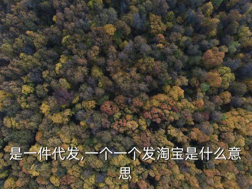 什么是一件代发,一个一个发淘宝是什么意思?