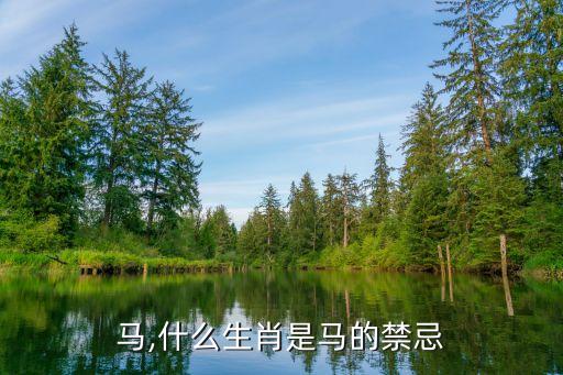 马,什么生肖是马的禁忌