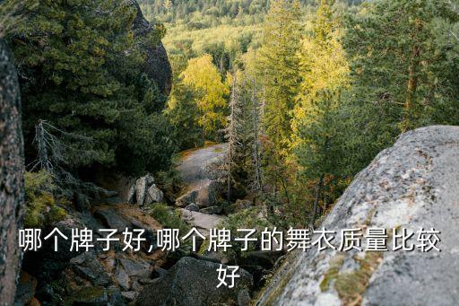 哪个牌子好,哪个牌子的舞衣质量比较好
