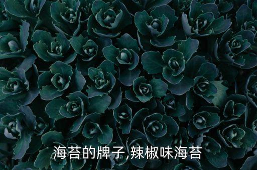 辣味海苔的牌子,辣椒味海苔