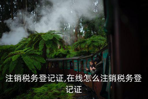 怎么注销税务登记证,在线怎么注销税务登记证