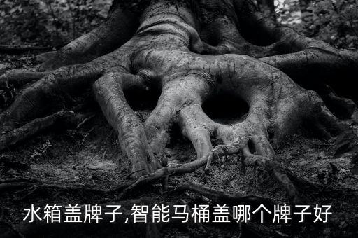 水箱盖牌子,智能马桶盖哪个牌子好