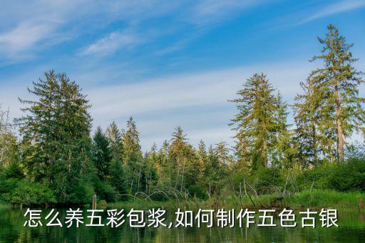 怎么养五彩包浆,如何制作五色古银