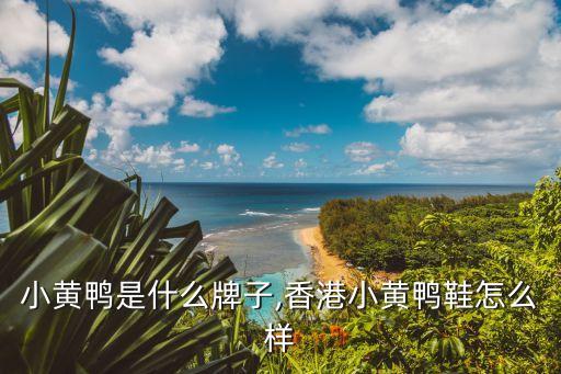 台湾小黄鸭是什么牌子,香港小黄鸭鞋怎么样?
