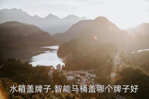水箱盖牌子,智能马桶盖哪个牌子好