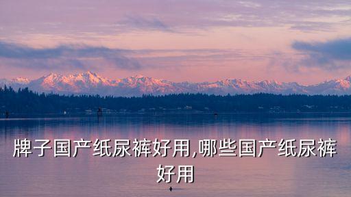 牌子国产纸尿裤好用,哪些国产纸尿裤好用