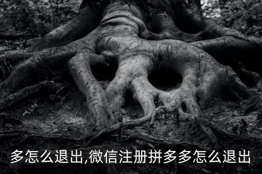 拼多多怎么退出,微信注册拼多多怎么退出