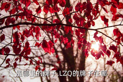 是哪里的牌子,LZQ的牌子在哪