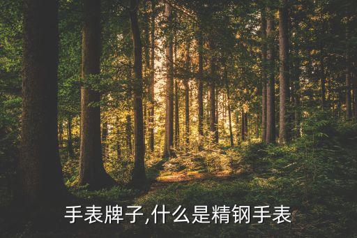 手表牌子,什么是精钢手表