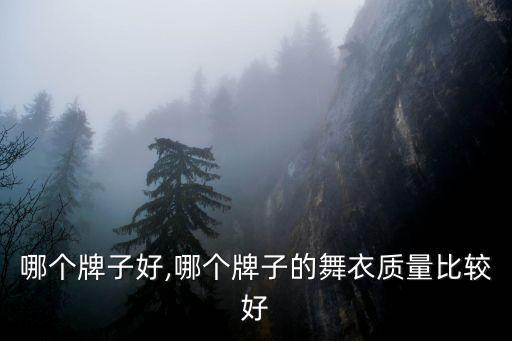 哪个牌子好,哪个牌子的舞衣质量比较好