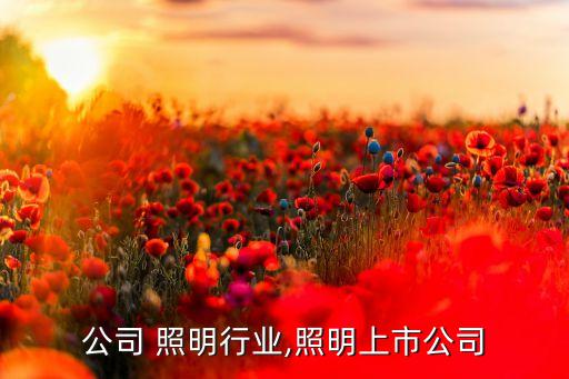 上市公司 照明行业,照明上市公司