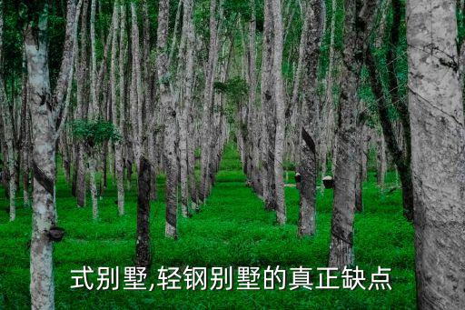 拼装式别墅,轻钢别墅的真正缺点