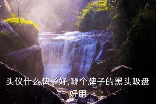 吸黑头仪什么牌子好,哪个牌子的黑头吸盘好用?
