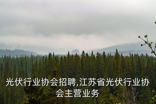 嘉兴光伏行业协会招聘,江苏省光伏行业协会主营业务