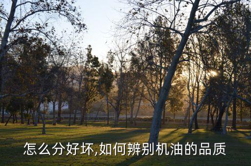 机油怎么分好坏,如何辨别机油的品质?