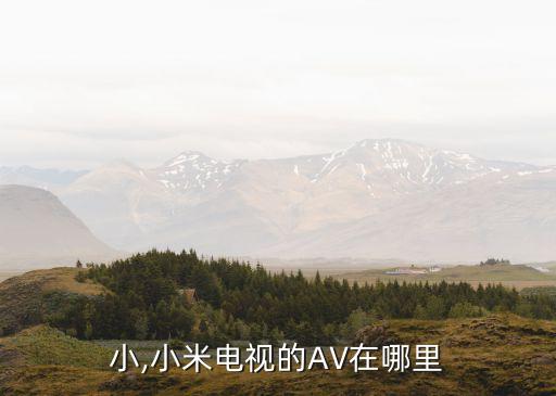 小,小米电视的AV在哪里