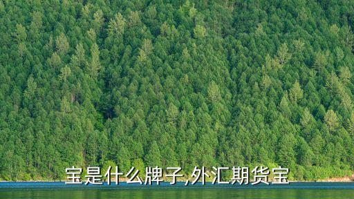 宝是什么牌子,外汇期货宝