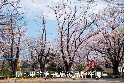 鬼洗是哪里的牌子,鬼冢品牌在哪里?