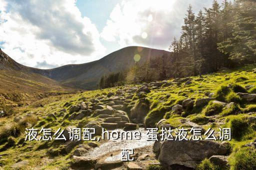 蛋挞液怎么调配,home 蛋挞液怎么调配