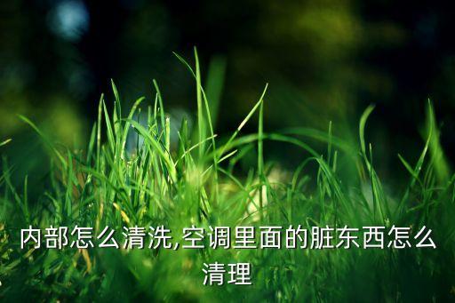 内部怎么清洗,空调里面的脏东西怎么清理