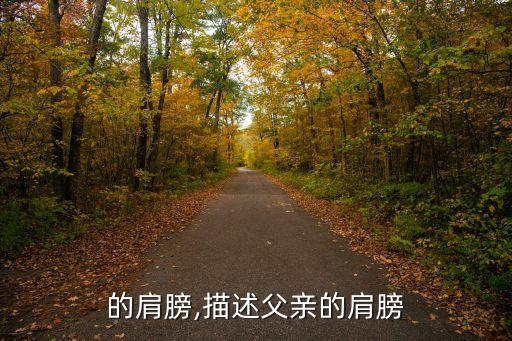 父亲的肩膀,描述父亲的肩膀