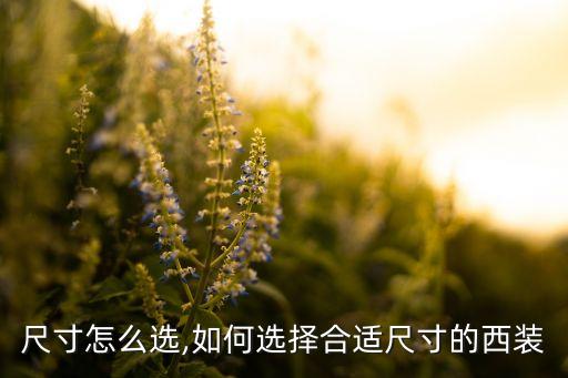 尺寸怎么选,如何选择合适尺寸的西装