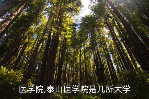 泰安医学院,泰山医学院是几所大学?