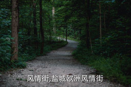 风情街,盐城欧洲风情街