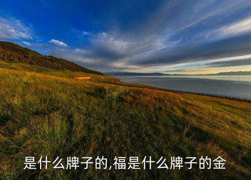 是什么牌子的,福是什么牌子的金