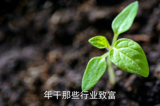 15年干那些行业致富