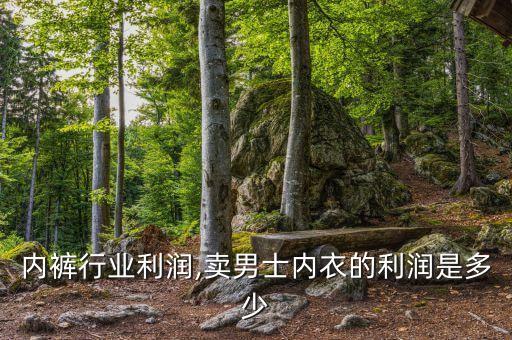 内裤行业利润,卖男士内衣的利润是多少