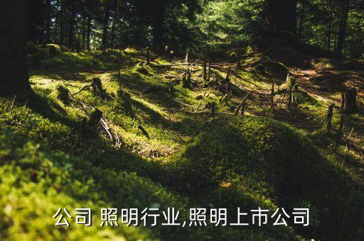 公司 照明行业,照明上市公司