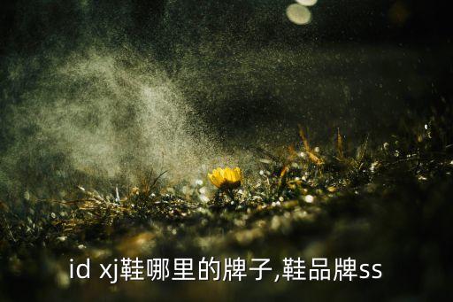 id xj鞋哪里的牌子,鞋品牌ss
