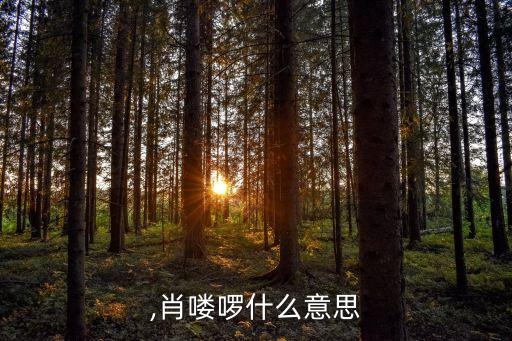 喽啰,肖喽啰什么意思?