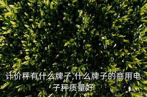 电子计价秤有什么牌子,什么牌子的商用电子秤质量好?
