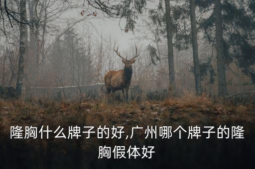 假体隆胸什么牌子的好,广州哪个牌子的隆胸假体好?