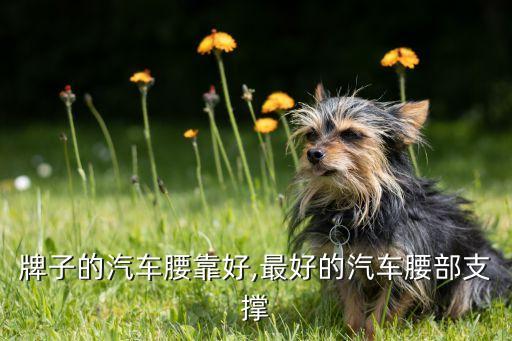 牌子的汽车腰靠好,最好的汽车腰部支撑