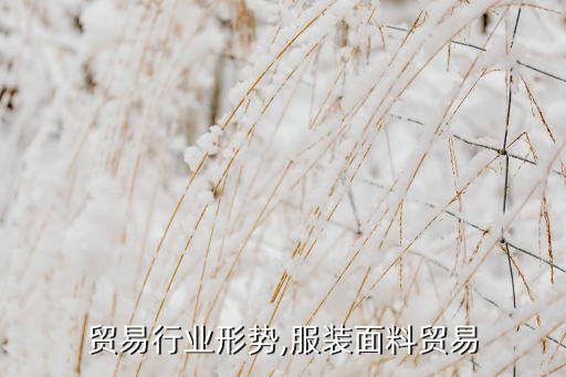 贸易行业形势,服装面料贸易