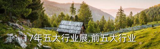 17年五大行业展,前五大行业