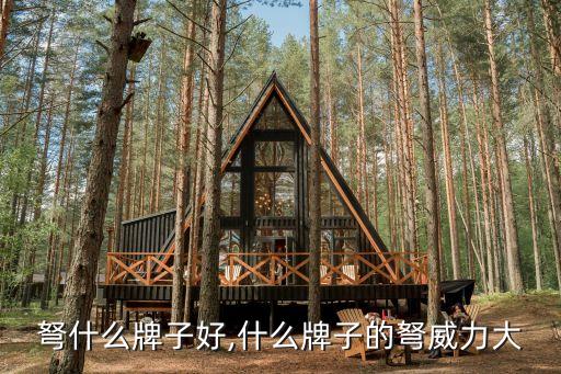 弩什么牌子好,什么牌子的弩威力大